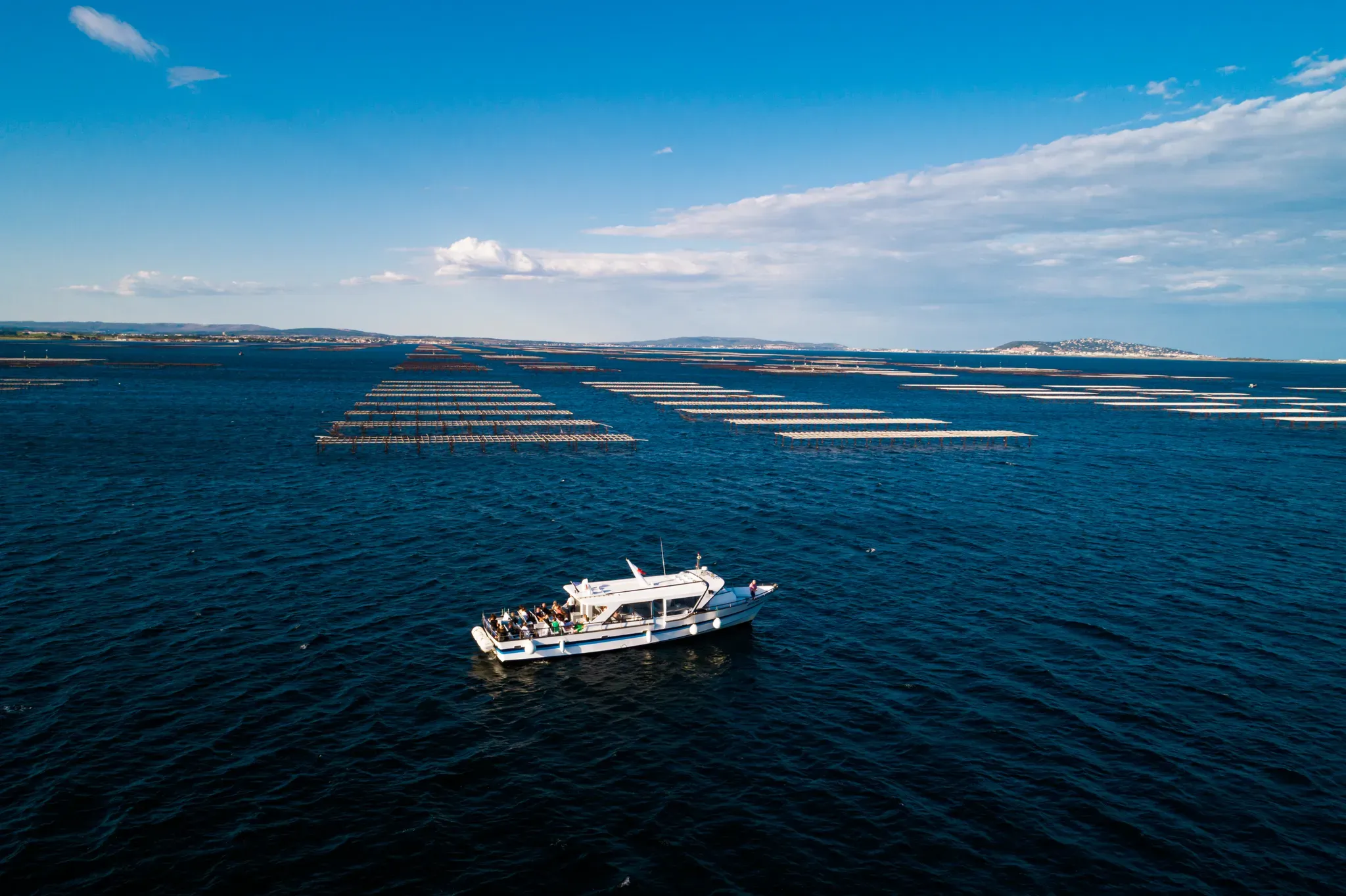 Le bateau Diane I au milieu des parcs à huîtres de la lagune de Thau, photo fournie par le prestataire.